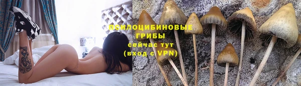 МДМА Алексеевка